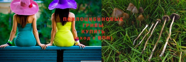 стаф Покров