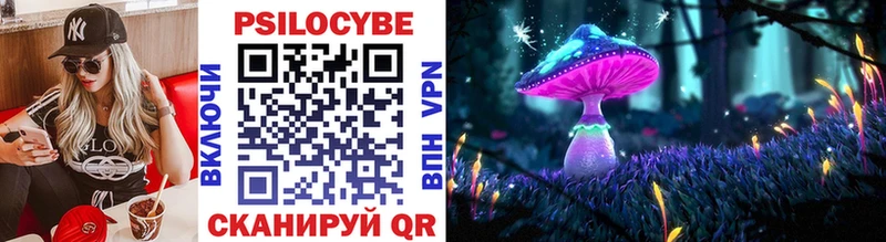 Галлюциногенные грибы Cubensis Юрга