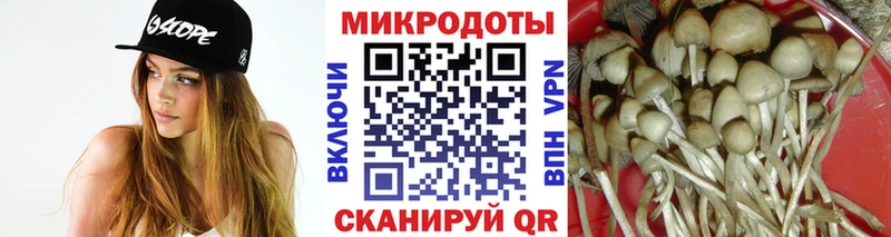 Галлюциногенные грибы GOLDEN TEACHER  хочу наркоту  Юрга 