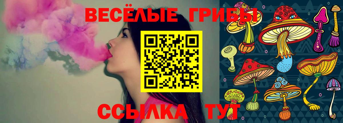 Юрга  Псилоцибиновые грибы ЛСД  Псилоцибиновые грибы мухоморы  Вход с VPN 