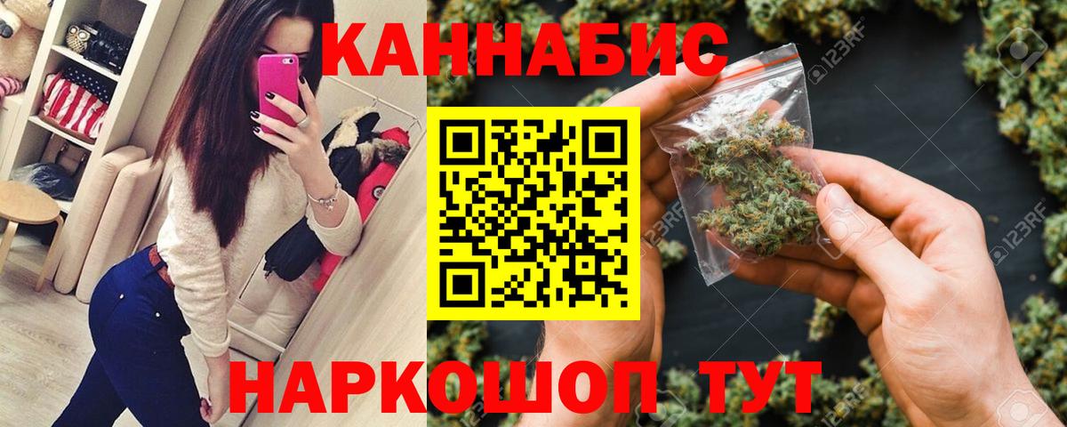 Юрга  Канабис планчик  Конопля OG Kush  Бошки Шишки план  Вход с VPN 